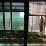 <b>삼일절</b>맞아요? 심각하네요..(태극기실태인증)