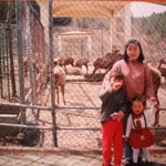 (엄마사진有)★★★엄마한테 깜짝문자보내기★★★