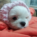 꼭보세요ㅠㅠ★★★★★★진짜 개판★★★★★