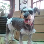 [개판]스압★★♡ 귀요미슈나우져군단소개합니다♡★★