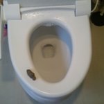 ☆★★휴지심으로 <b>ddong</b> 만들기(사진有,혐오주의,수정)★★☆