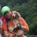 .....너무나도 소중한 우리아이를 찾습니다..