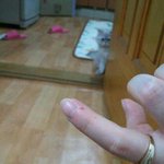 @@@@@완전<b>범죄</b>는 없는거야~~~~~!!!!ㅋㅋㅋㅋㅋ@@@@@@