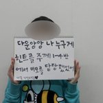 ※사진有/잘가사오정