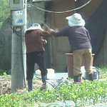 오늘 강남 <b>신사동</b>에서 개그맨 신보라봤다 증거사진