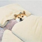 여자들<b>아해</b>품달끝낫네