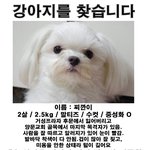 ★★★<b>전주</b>사시는분들제발좀봐주세요