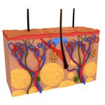 긁적긁적’ 혹시 나도 피부 건조증?