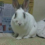 우리집엔 동물이 산다