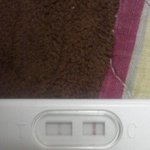 임신했는데..조언좀 부탁드립니다 ㅠㅠ(추가)