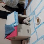 <b>울</b><b>집</b>강아지  뻗음ㅋㅋ