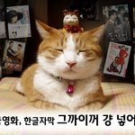 한국영화, 한글자막 그까이거 그냥 넣어줘!