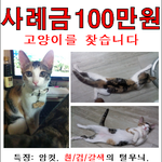 ★☆★꼭좀 퍼뜨려주세요!!★☆★  진짜 인간 말종 쓰레기같은 놈입니다...