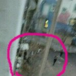 ★★★  (사진有)  담배피는 중학생들 퇴치하기 ★★★