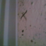 ★★★저희 집도 당했어요..! (사진有느님ㅜㅠ) ★★★