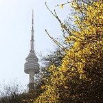 성큼 다가온 봄, <b>허전</b>한 네크라인에 어울리는 아이템은?
