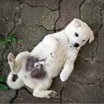 와~~~~이거는 여러분들이 좋아하는거 입니다