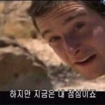 <b>하치</b> 진짜 레알 이뻐요
