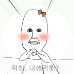 와 오늘 인증엄청 올라온다!!!!!!씐<b>낭</b>