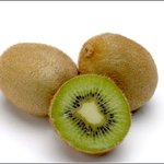 <b>키위</b>랑 쥐랑 구분 못하시는분들 계시는데 여기서 구별해드리겠습니다