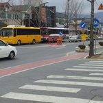 어제 죽어가는 개를 구했습니다!