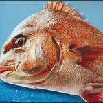 참돔건 와 고놈 잘<b>생깃</b>네