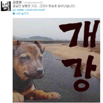 샤이니 김종현 트윗 2 ㅋㅋㅋㅋㅋㅋㅋㅋㅋㅋㅋㅋㅋㅋ쨔응♥