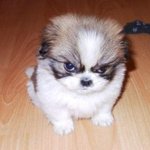 ★★얼굴에 맞는 헤어스타일 <b>tip</b>[남/녀]★★