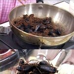 ☆일본야동★궁금하면 <b>click</b>~