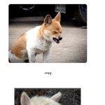 서인국vs<b>엠버</b>