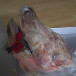제 화장 <b>전후</b>사진