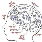 워킹맘이 밝히는 불편한 진실