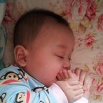 [사진有] 사랑스러운 우리조카님