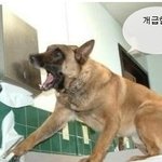 <b>직딩</b> 8개월차 인데요