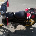 청소년 폭주바이크 랭킹 과 그 능력치에 대해 알아보는시간!!!