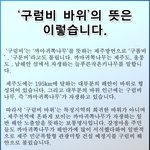 ★★★구럼비 <b>바위</b>★★★
