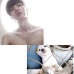 모델포스 <b>울</b><b>집</b> 강아지
