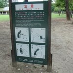 심심해서 사진 뒤적뒤적하다 하나 발견!