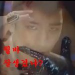 우와 <b>판베</b> 엽사 팡팡 터지네 또들고왔지용