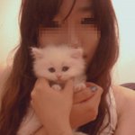 ★★9층에서 떨어지고 살아난 우리 고양이 ★★