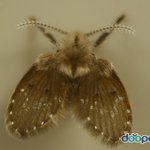 아무리 <b>무상</b>급식이라지만 ...!!!!