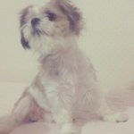 딱 5분만 시간내주세요