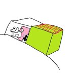 사진有) 우리집 난동꾼 돼개냥이 좀 말려주세요!!!!!!!!