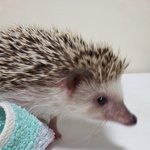 내 멘탈 붕괴 <b>주범</b>