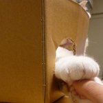 <b>보리</b>보리보리보리~~~~~~~~~~~