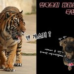 국군과 북한군의 시각