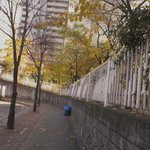 ★★☆(<b>사진</b>有)아기<b>새</b>를 구해줬어요 ☆★★