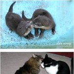 <b>내님</b>이사진봐봐ㅎ