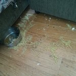 <b>냄비</b>가 무슨 죄야.....