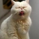 톡톡 튀는 아이디어의 독특한 마케팅 ~